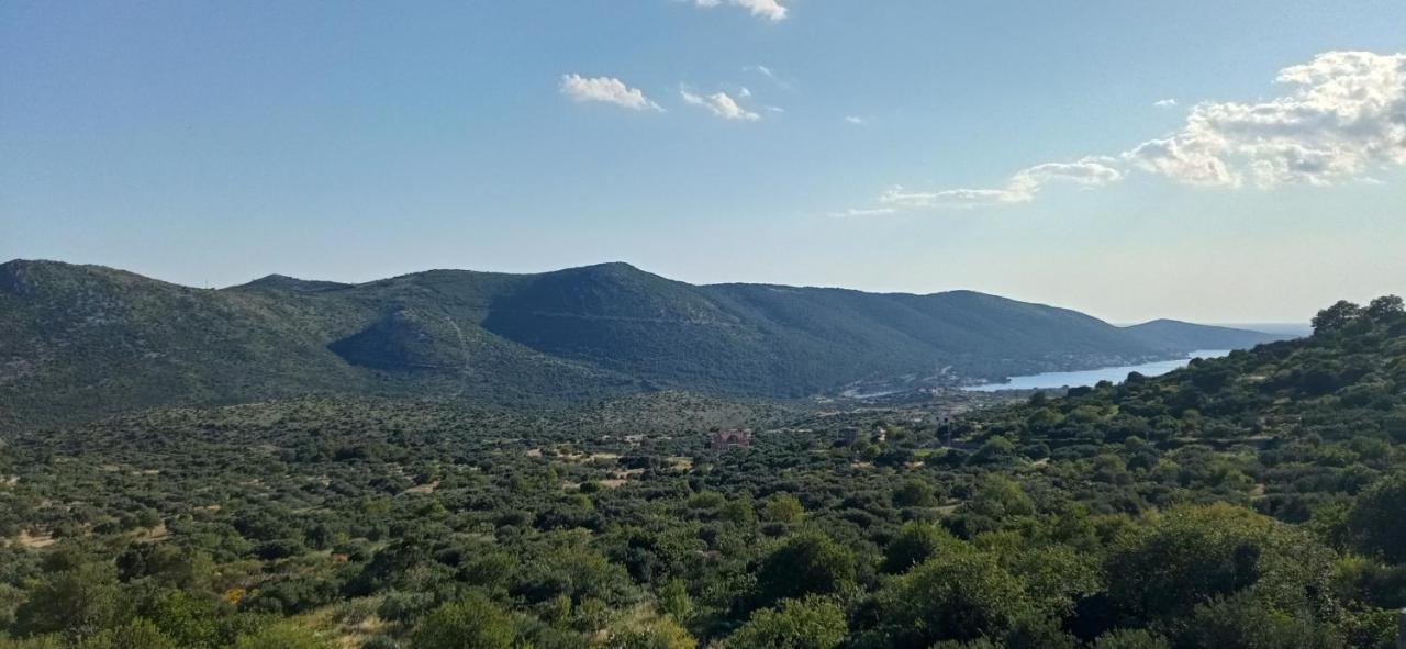 Holiday Home Peran Grebaštica Dış mekan fotoğraf