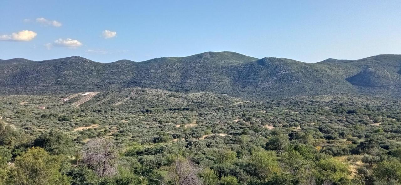 Holiday Home Peran Grebaštica Dış mekan fotoğraf